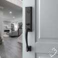 Entry Door Levers Fixturee