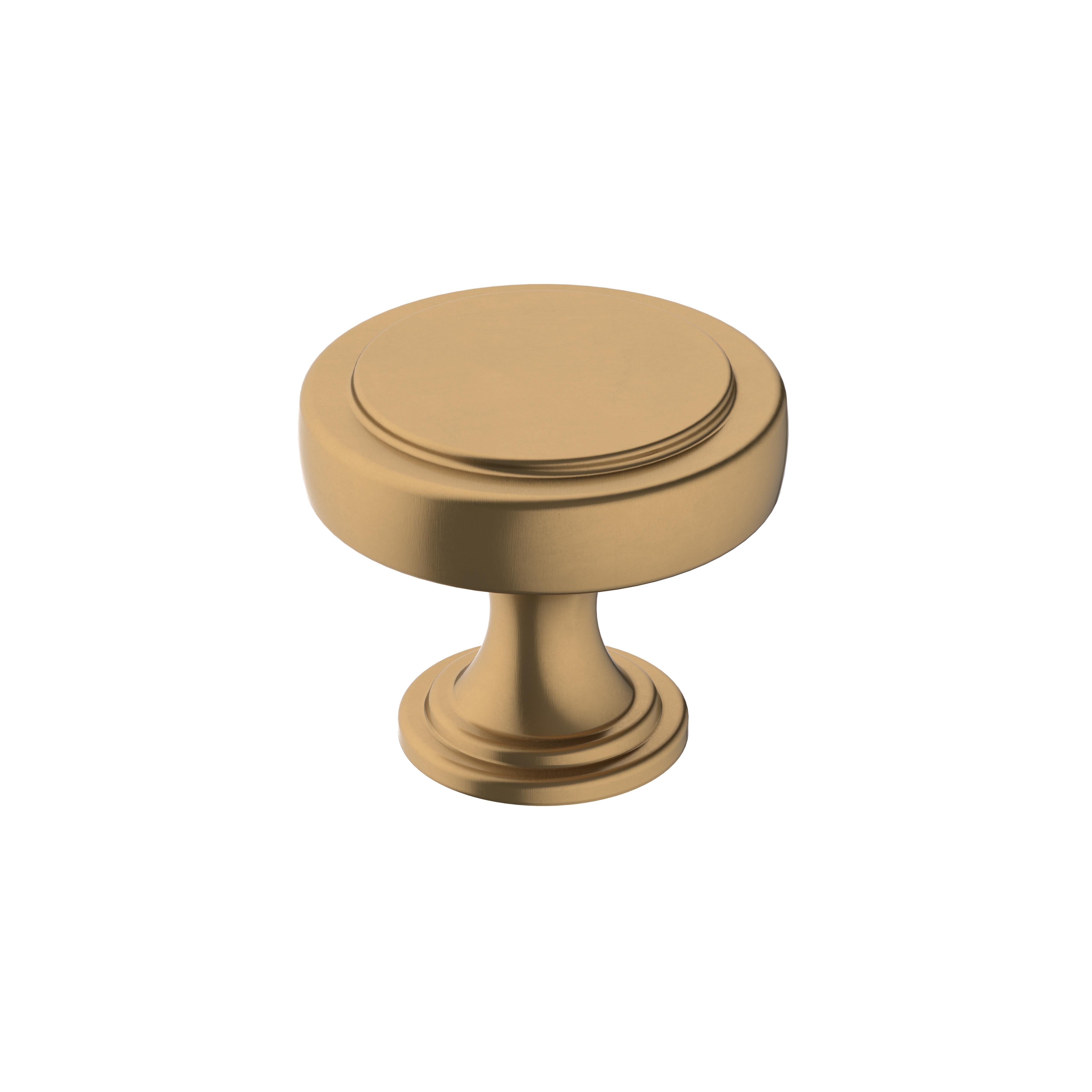 Amerock Exceed 1-1/2 in (38 mm) Diameter Cabinet Knob - 36880 Amerock