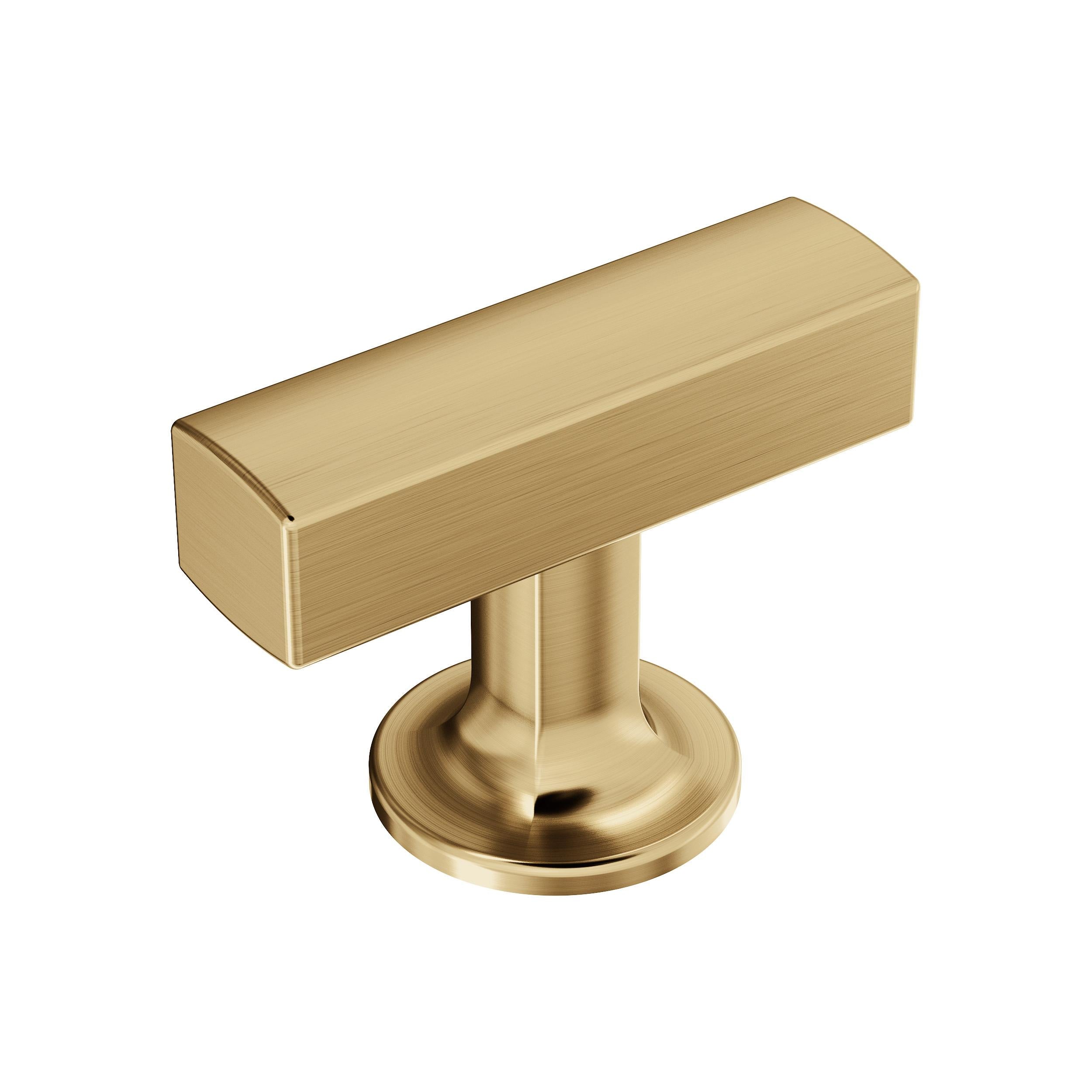 Amerock Everett 1-3/4 in (44 mm) Length Cabinet Knob - 37100 Amerock