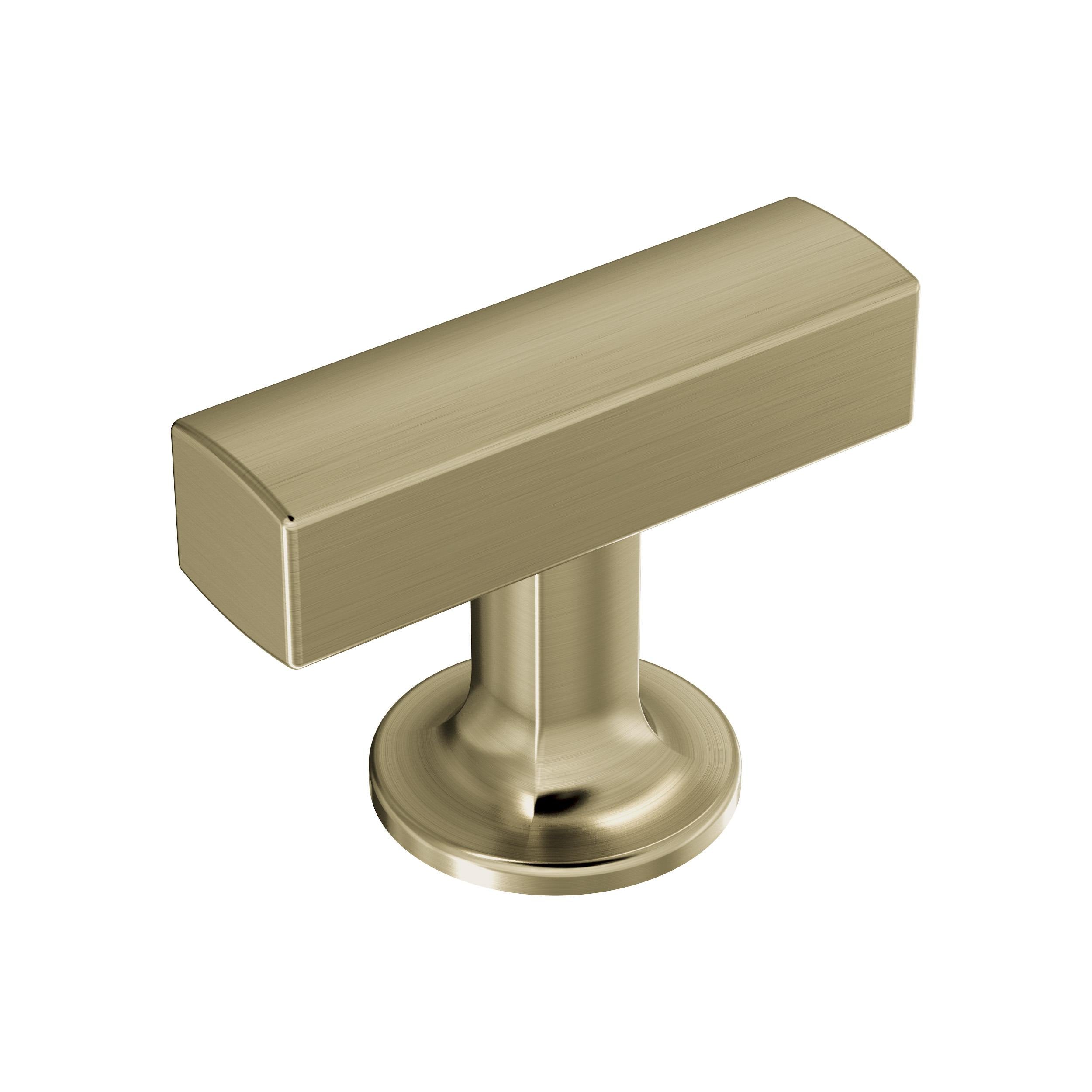 Amerock Everett 1-3/4 in (44 mm) Length Cabinet Knob - 37100 Amerock