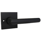 Baldwin Reserve Half Dummy Tube Lever and Contemporary 5" Rose Baldwin Reserve