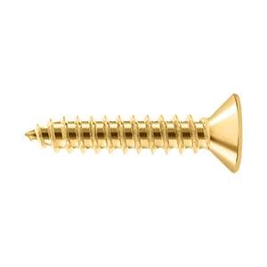 Deltana Bag of 100 Wood Screws; SB; #10 x 1"; Deltana