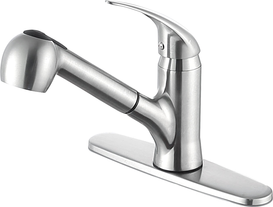 ANZZI  Del Acqua Single-Handle Pull-Out Sprayer Kitchen Faucet ANZZI