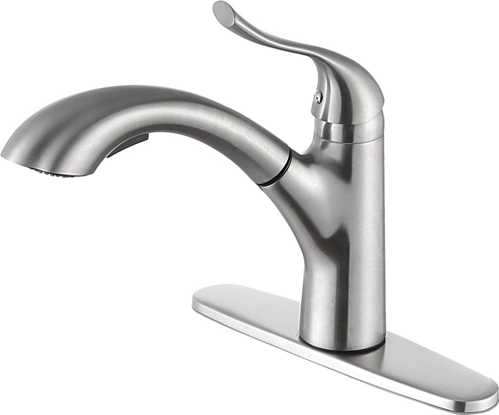 ANZZI  Navona Single-Handle Pull-Out Sprayer Kitchen Faucet ANZZI