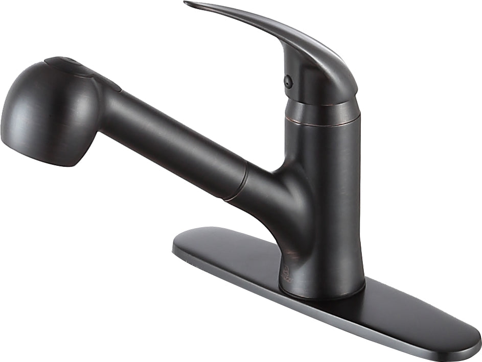 ANZZI  Del Acqua Single-Handle Pull-Out Sprayer Kitchen Faucet ANZZI