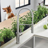 Blanco Catris Pull-down Kitchen Faucet 1.5 GPM Blanco